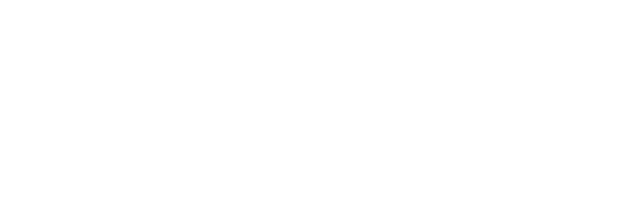 Nozy
